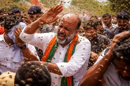 BJP leader Bandi Sanjay leading padayatra as bees swarm party workers during march to Kondagattu temple