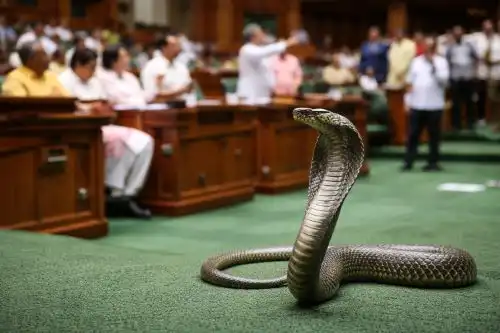 Traffic constable catches a snake near the Telangana Assembly premises in Hyderabad during the Budget Session