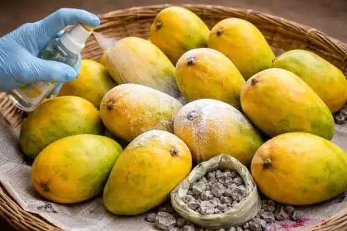 Fresh mangoes displayed in Hyderabad market with police inspection in background